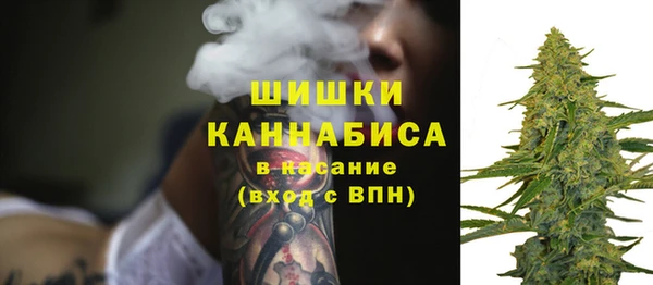 стаф Елизово