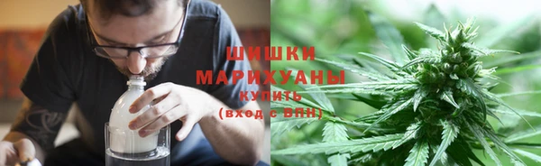 стаф Елизово