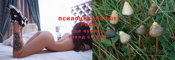 МДПВ Дмитровск
