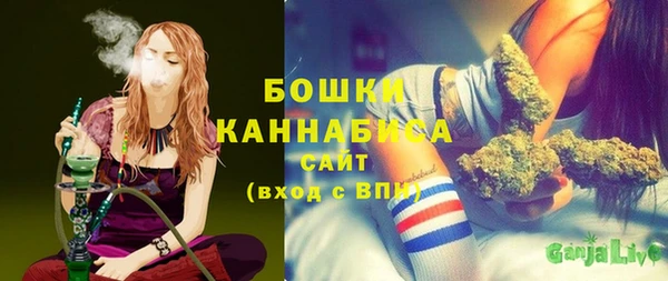 дурь Елабуга