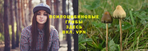 стаф Елизово