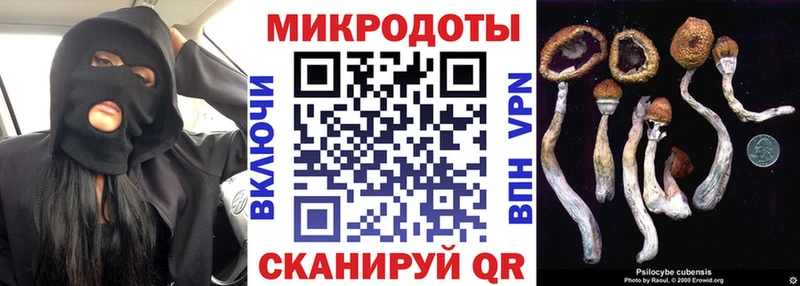 Купить где  Заинск  Псилоцибиновые грибы GOLDEN TEACHER 